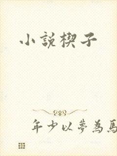 小说楔子