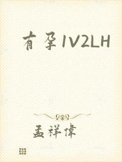 有孕1V2LH