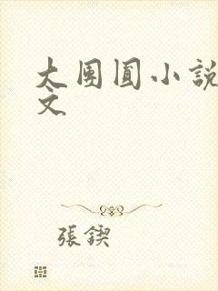 大团圆小说集全文