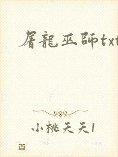 屠龙巫师txt