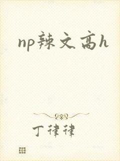 np辣文高h