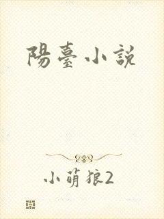 阳台小说