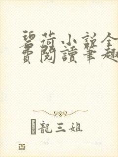 碧荷小说全文免费阅读笔趣阁