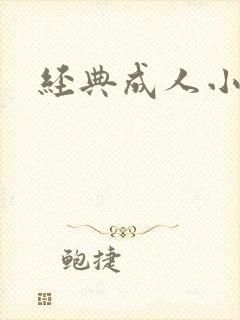 经典成人小说封面