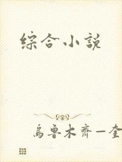 综合小说封面