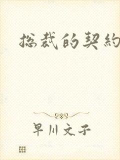 总裁的契约情人