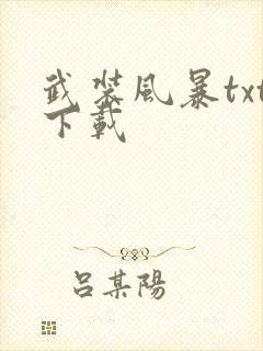 武装风暴txt下载