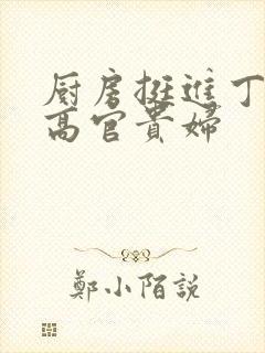 厨房挺进丁字裤高官贵妇