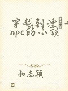 穿越到湮婸世界npc的小说封面