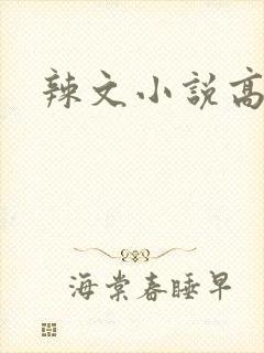 辣文小说高h