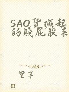 SAO货撅起你的贱屁股来