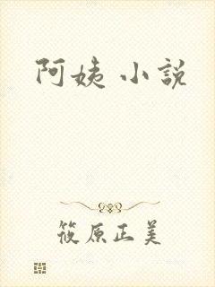 阿姨 小说