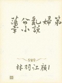 荡公乱妇第51章小说