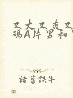 又大又爽又黄无码A片男和男