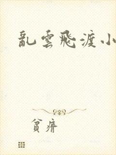 乱云飞渡小说