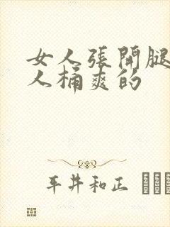 女人张开腿让男人桶爽的