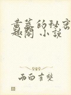 黄蓉的秘密 笔趣阁 小说封面