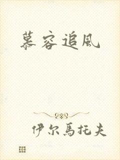 慕容追风封面