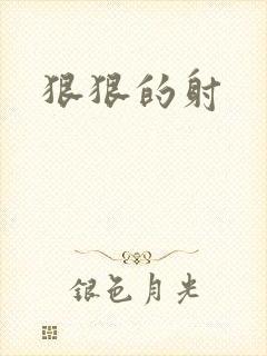 狠狠的射