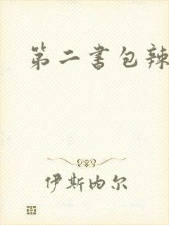 第二书包辣文