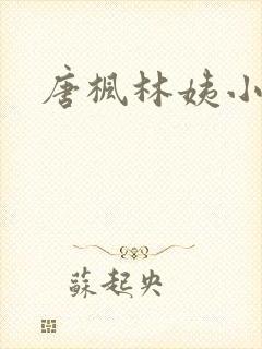 唐枫林姨小说