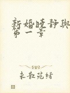 新婚晓静与翁公笫一章封面