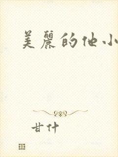美丽的他小说