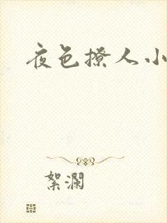 夜色撩人小说
