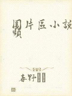 图片区小说区视频