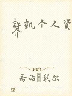 许凯个人资料简介封面