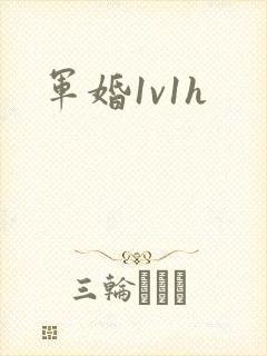军婚1v1h