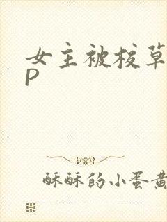 女主被校草们NP