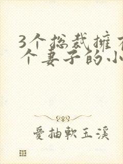 3个总裁拥有一个妻子的小说