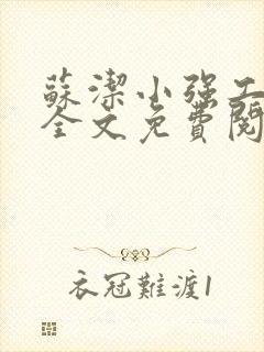 苏洁小强工地情全文免费阅读封面