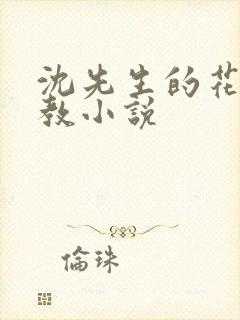 沈先生的花式调教小说封面