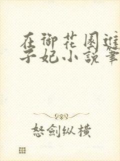 在御花园进入太子妃小说笔趣阁封面