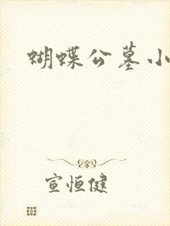蝴蝶公墓小说