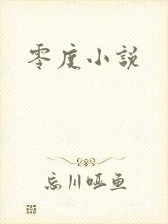 零度小说