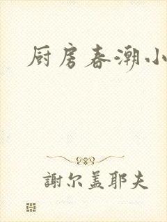 厨房春潮小说