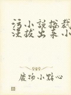 污小说总裁整夜没拔出来小说在线阅读