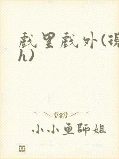 戏里戏外(现场h)