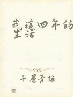 我这四年的奴隶生活封面