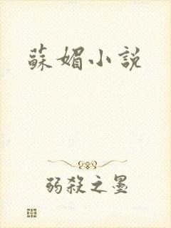 苏媚小说