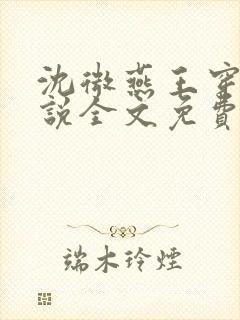 沈微燕王穿越小说全文免费阅读