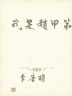 我是赵甲第小说