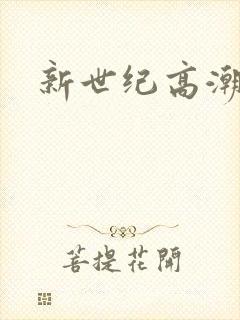 新世纪高潮战队