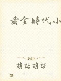 黄金时代小说