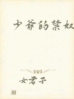 少爷的禁奴