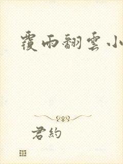 覆雨翻云小说