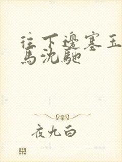 往下边塞玉器骑马沈驰封面